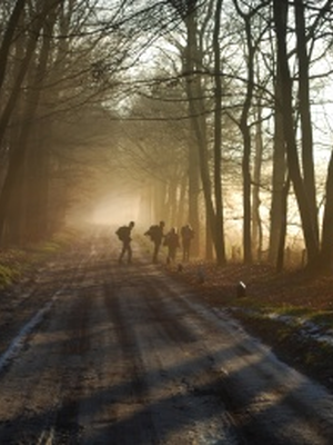 Winterhike